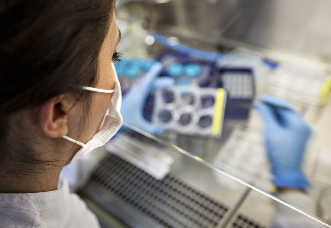 Image: Startup Fawke ganha prêmio com pesquisa de células-tronco