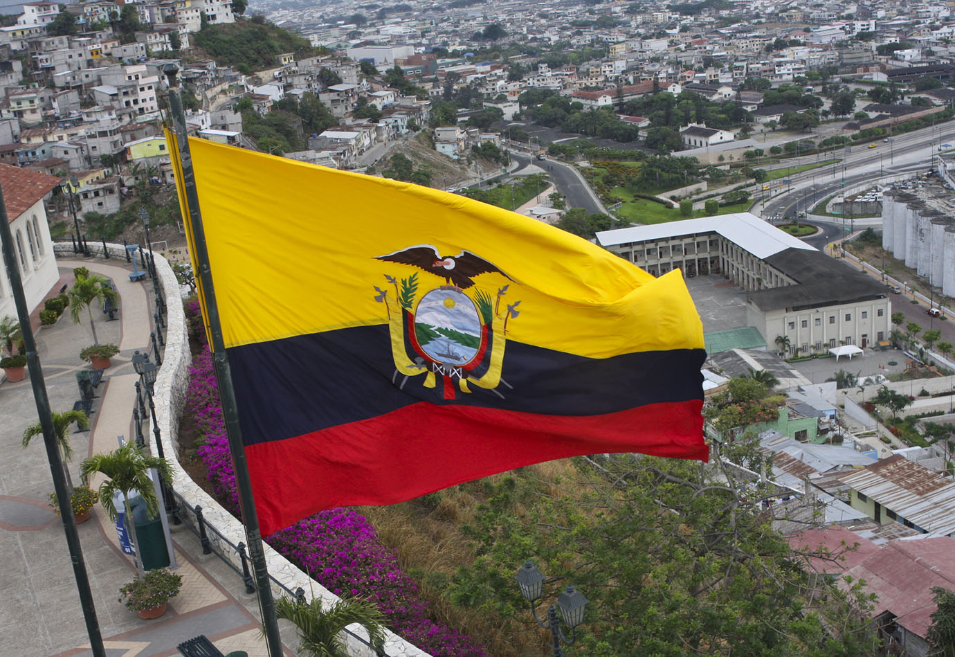 Image: Negocios rentables en Ecuador: conoce las áreas que pueden ser opción de inversión