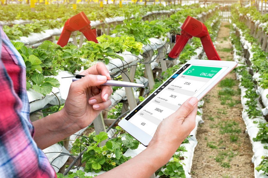 Image: IoT en el agro: nuevos sistemas para aumentar la productividad