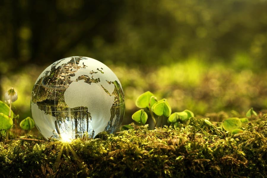 Claves de los negocios verdes